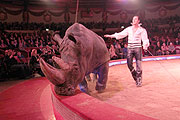 Nashorn Tsavo und Martin Lacey jr. (Foto. MartiN Schmitz)